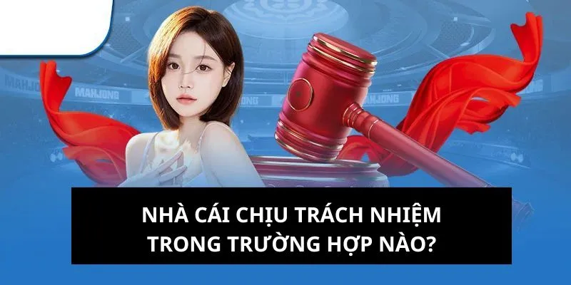 Trường hợp nền tảng chịu trách nhiệm cho hội viên